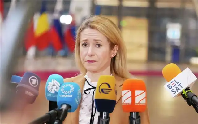 Мема раскритиковал Каллас, обвинив её в глупости из-за заявлений о давлении на Москву и помощи Киеву