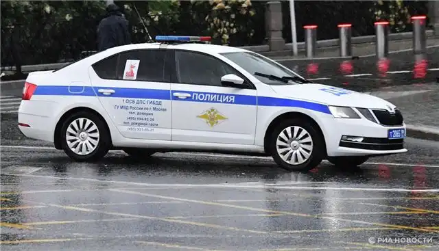 В Иркутске арестовали водителя, скрывшегося в лесу после наезда на дво...