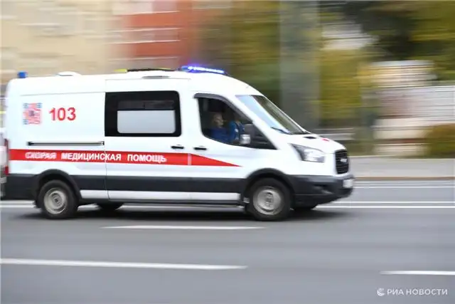 В Перми сильный ливень повалил дерево прямо на прохожую