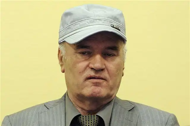 Наследник генерала Младича рассчитывает на внимание Совбеза ООН к свое...