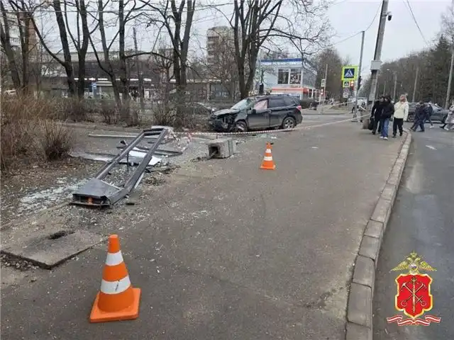 В Пушкине водитель на тротуаре сбил маму с двухлетними близнецами в де...