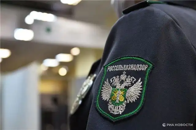 Россельхознадзор обнаружил нарушения в камышинском кафе, вызвавшие отравление посетителей