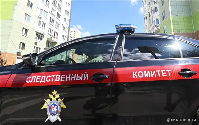 СК начал расследование после появления видео, где мужчина избивает жену в Великих Луках